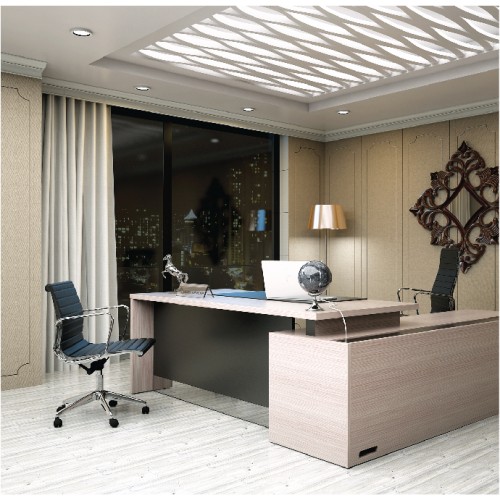 HOMAG Director Series